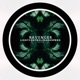Lightcontrol Darkspeed Single