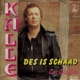 Des is schaad Single