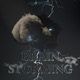 BrainStorming Single