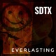 Everlasting Single