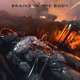 Brains in the Body Single