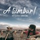 A Tumbar feat Weros el Locko Single