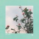 Bara No Hana Flower Of Roses Single
