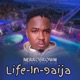 Life In 9aija Single
