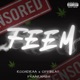 Feem feat Aarambh Single