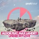 Under My Love feat Max Landry Single