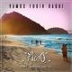 Vamos Fugir Daqui feat Ananda Savitri Single