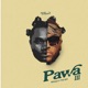 Pawa III feat The Ben Single
