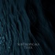 SubTropicals Single