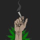 BANII DIN VERDE feat AERO Single