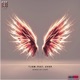 Wings of Light feat Ever Extended Mix Single