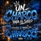 Un charco para el suelo Single