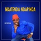 Ndatenda Ndapinda