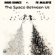 The Space Between Us feat Fe Malefiz Single