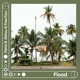 Flood Single
