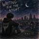 Waiting For The Night Single
