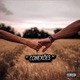 Conexões Single