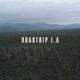 Roadtrip L A feat Ggflvme Single