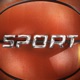 Sport Single