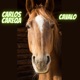 Cavalo 2cavalos Single