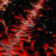 Rise Single