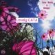 Lovely Cata Single