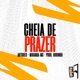 Cheia De Prazer Single