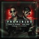 Prohibido feat Fabi Vera Single