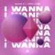 I Wanna Single