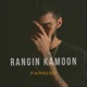 Rangin Kamoon Single