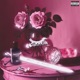 Acupuntura Single