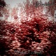 Foetal Suicide Single