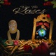 Keep the Roses feat Fly Jones Single