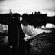 Årets Längsta Natt feat Majk Single