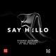 Say Hello feat Mily Music Single