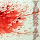 Y D K S A P feat Tha Red Baron Single
