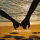 Amor De Verano Single