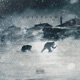 Coldflow EP