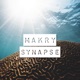 Synapse Single