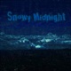 Snowy Midnight Single