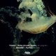 As Long as I Pyrrhus Vocal Remix Edit Single