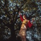 Forest Single