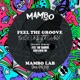 Feel the Groove Single