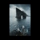 Fallacy Single