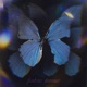 Fake Love feat xomarvin Single