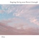 Saying Sorry Was Never Enough Single