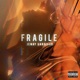 Fragile Single