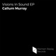 Visions in Sound EP