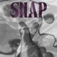 Snap Remix Single