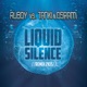 Liquid Silence 2k15 Remix Short Edit Single